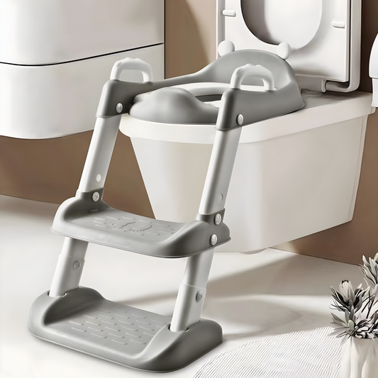 Potty Training Ladder